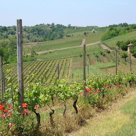 Cascina Rollone Villa Rocchetta Tanaro ภายนอก รูปภาพ