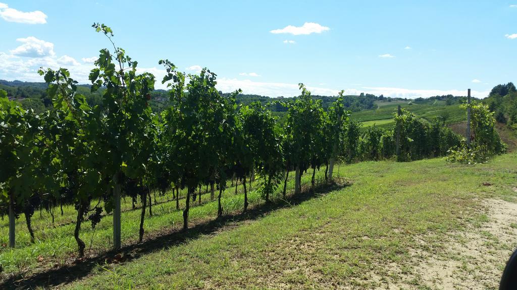 Cascina Rollone Villa Rocchetta Tanaro ภายนอก รูปภาพ